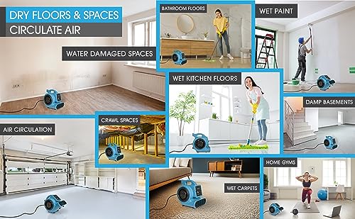 Mini Air Mover | Carpet Dryer and Blower Fan | High-Velocity Floor Fan for Crawlspaces, Attics, Basements, Bathrooms | 1/5 HP 800 CFM | Water Damage Restoration, Grow Rooms | PA-200-AM | Blue