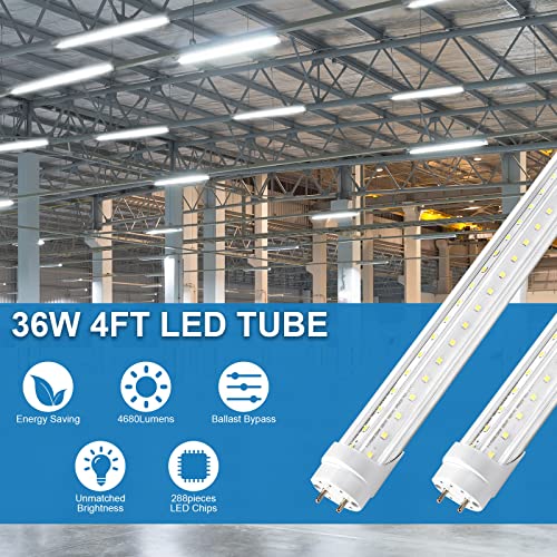 T8 LED Bulbs 4 Foot, 12 Pack 36W 4680LM 5000K Daylight White Type B - size: 12 Pack