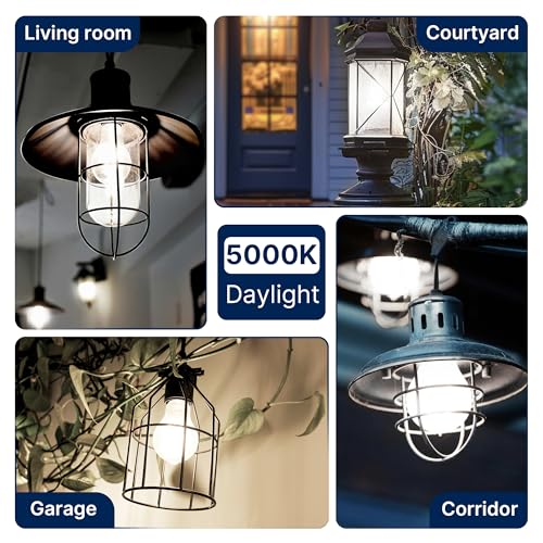 FLSNT 150W Eq Dimmable A23 LED, 2650LM, 5000K, E26, 4P - color: 150w 5000k Daylight, size: 4 Count (Pack of 1)