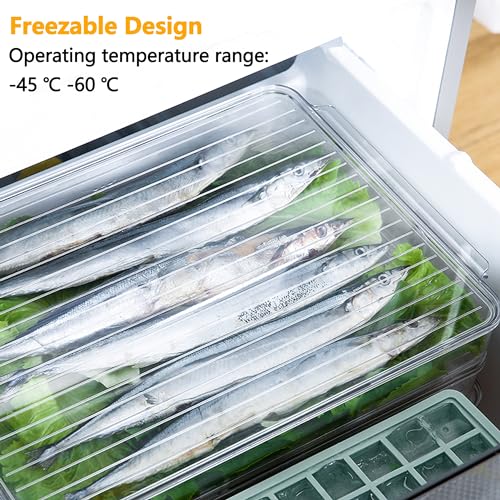 vacane Stackable Freezer Organizer, Flat Produce Saver Sliced Cheese Container with Lids, Freezer Storage Containers Food Storage Tray for Fruits, Vegetables, Meat - color: Tray-M