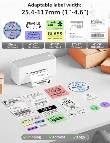 Phomemo Bluetooth Thermal Label Printer, 241BT Label Printer & 20Pcs Labels - color: Sliver