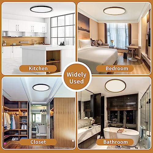 6-Pack 12Inch LED Ceiling Lights Flush Mount Black 3200LM, Dimmable Ceiling Light Fixtures, 3000K 4500K 6000K CCT, 24W Super Slim Low Profile Modern Ceiling Light for Bedroom Bathroom Hallway Kitchen - color: Black, size: 6 Packs