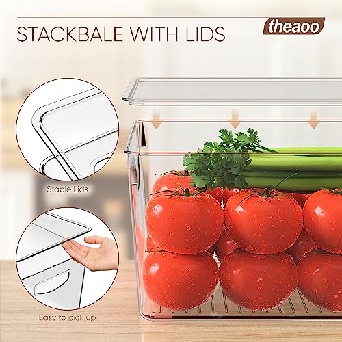theaoo Large Clear Storage Bins with Lids, Stackable Containers, 4 Pack - size: Large (Pack of 4)