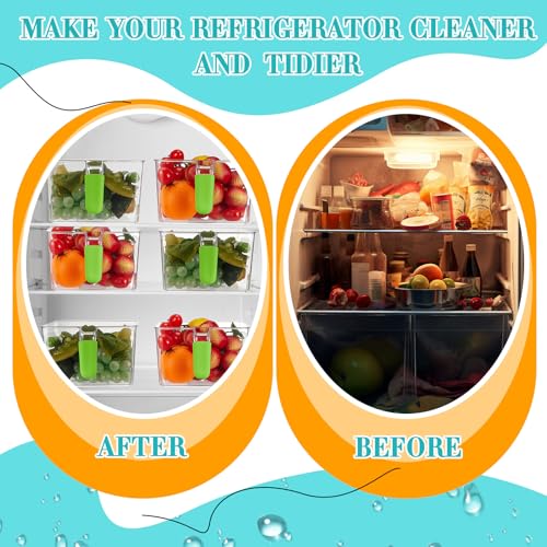 Havawish Ice Storage Bin and Flexible Scoop Set Plastic Freezer Bin - color: Green, size: 10.83 x 7 x 4.33 in, style: Classic