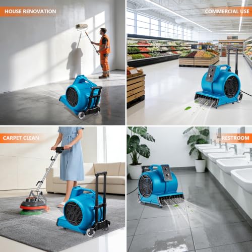 Air Mover 1 HP 4000 CFM Air Mover Blower Fan, Carpet Dryer, Floor Dryer Fan - color: Blue