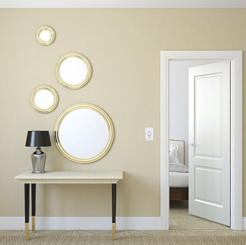 Intermatic FD5MW 5-Minute Spring-Loaded Automatic Shut-off In-Wall Timer for Fans and Lights, White - color: White, size: 5-Minute, style: Without Hold on Timer