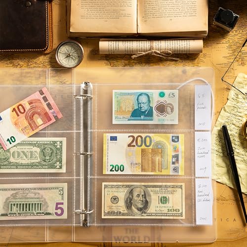 20 Sheets Currency Sleeves 60 Pockets with Labels for 3-Ring Binder - size: 20 Sheets/60 Pockets