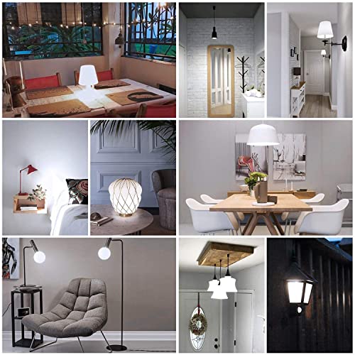 LED Light Bulbs 100 Watt Equivalent, Daylight White 5000K, 10W LED Bulb E26/E27 1000LM for Ceiling Fan Chandelier Pendant Lighting, Non-dimmable,5 Pack - color: 5000k Daylight White