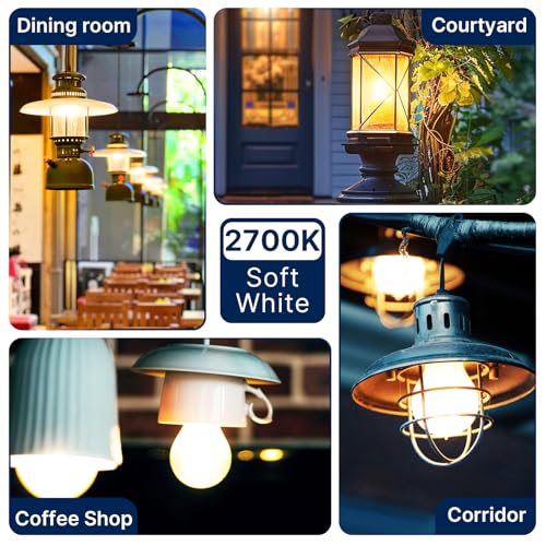 FLSNT 100W Equivalent A19 LED Light Bulbs, Efficient 12W, 1600Lumens, 2700K Soft White, CRI82, E26 Base LED Filament Light Bulbs, Clear Glass, 4 Pack, Dimmable - color: 100w 2700k Soft White, size: 4 Count (Pack of 1)