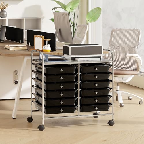 RELAX4LIFE 12-Drawer Rolling Storage Cart - Mobile Utility Cart on Wheels for School Classroom Teacher Office Salon, Paper File Art Supply Craft Organizer, Rolling Cart with Drawers (Black) - color: Black, size: 24.5''