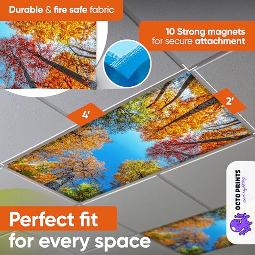 Fluorescent Light Covers for Ceiling Lights Classroom Magnetic Seasons 4pk - color: 4 Seasons