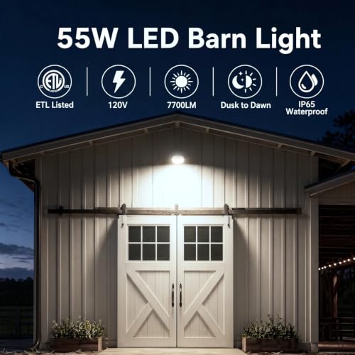 CINOTON 55W 6600LM LED Barn Light, 5000K, ETL Listed, Silver, 1 Pack - color: Silver