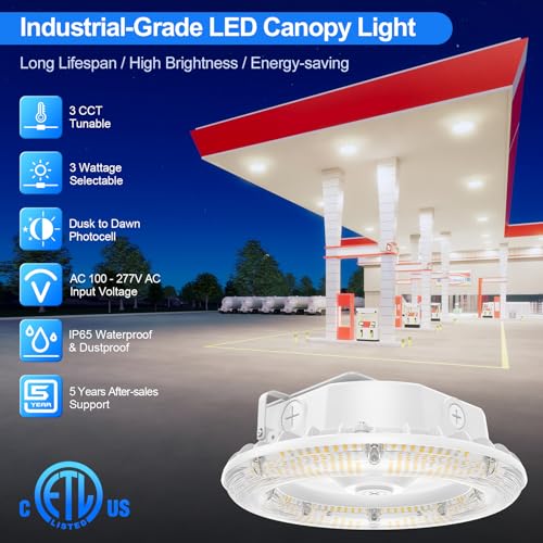 2Pack LED Canopy Light 60W/48W/36W Selectable, ETL Listed 8400LM Canopy LED Lights 4500K 5000K 5700K Adjustable, IP65 Commercial Gas Station Light with Photocell for Carport Workshop Warehouse - color: 60w, size: 2 Pack