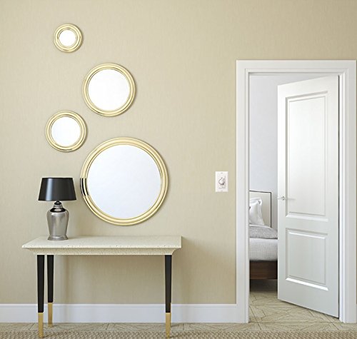 Intermatic FD60MHW 60-Minute Spring-Loaded Wall Timer, White - color: White, size: 60-Minute, style: With Hold on Timer