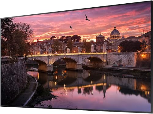 Samsung QB65R 65 inch 4K UHD LED Commercial Signage Display for Business with HDMI, Wi-Fi, 350 nit (LH65QBREBGCXZA), Black