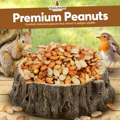 2 Pack of 15 Lb Bags (30 Pounds Total) - Raw Shelled Peanuts for Squirrels, Out of Shell Peanuts for Birds and Wildlife- Squirrel Food, Wild Bird Seed - Grown in The USA