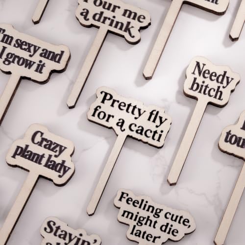 24 Pack Funny Plant Signs Set, Wooden Garden Plants Stakes with Humorous Sayings Gifts for Plant Lovers, Indoor Outdoor Succulents Flower Pots Accessories, Cute Gardening Plants Labels Decor