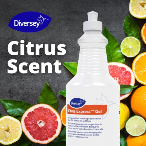 Diversey Citrus Express Gel Solvent Spotter, Citrus Scent, 32 oz 6 Pack - size: 32 Fl Oz (Pack of 6)