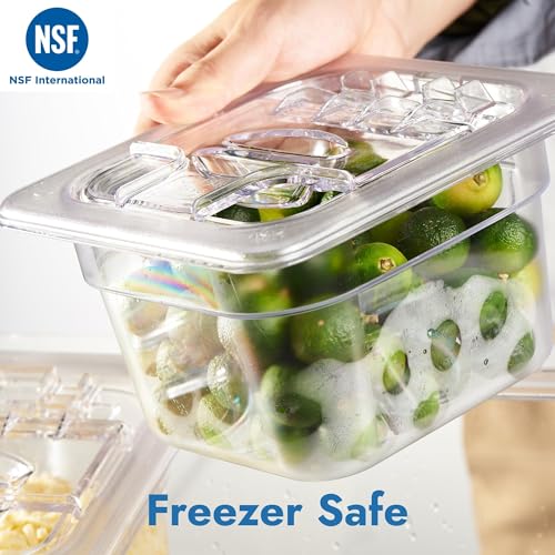 CURTA Commercial Spice Rack Set, NSF Certified, Polycarbonate Inclined Organizer Shelf with 3 1/6 6" Pan(9.6 Cup), Countertop Holder for Seasoning Topping, Freezer Safe - size: 3 Pan Polycarbonate