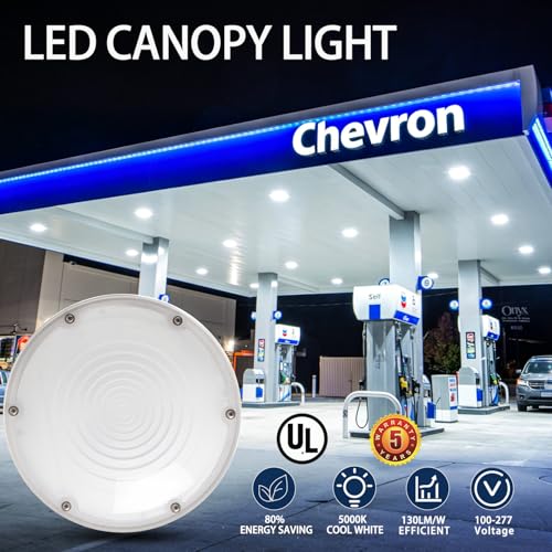 OSTEK 60W LED Canopy Light for Garage Ceiling Lighting 8400Lm(140lm/w) 180-250w HPS/MH Equiv 5000K Outdoor Garage Light Fixture 100-277VAC IP65 for Gas Station, 5 Years Warranty