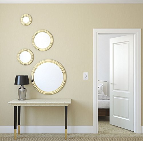 Intermatic FD30MHW 30-Minute Spring-Loaded Wall Timer for Lights and Fans, White - color: White, size: 30-Minute, style: With Hold on Timer