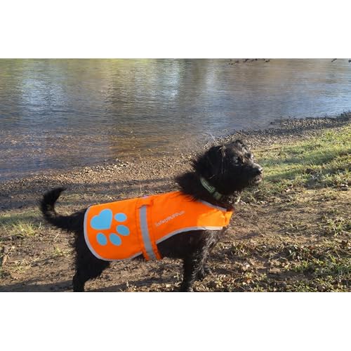 Blaze Orange Dog Vest. Reflective High Visibility in Hunting & Wooded Areas - size: Small