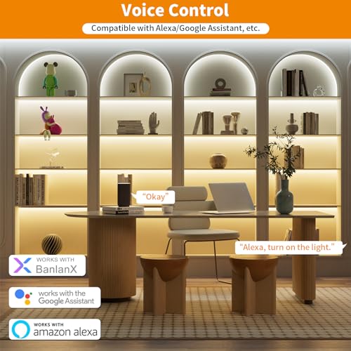 PAUTIX CCT LED Controller Kit SP542E Wi-Fi+Bluetooth, Compatible with Alexa/Google Assistant, App Control RF Remote, CCT LED Dimmer for LED Strip Light, Timing Function, Music Mode, Group Control - size: SP542E(For CCT, Support voice activation)