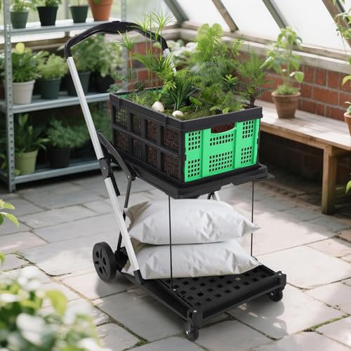 2 Tier Folding Shopping Carts for Groceries, 198 LB Capacity, Collapsible Portable Grocery Cart with Wheels & Removable Crate, Lightweight Foldable Shopping Trolley for Mall Market, Green - color: Green