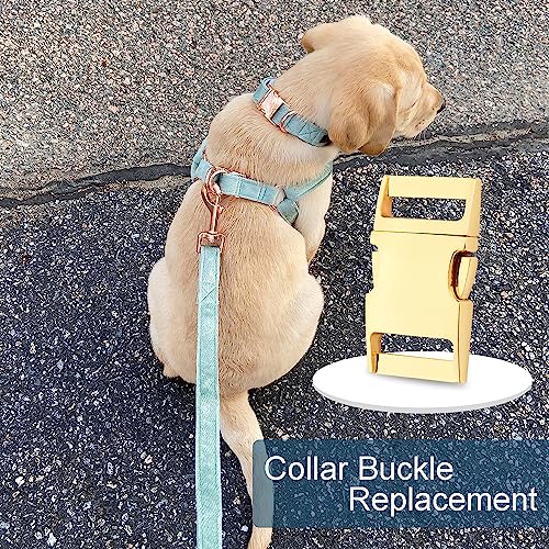 CooBigo 10 Pack Bulk Dog Collar Hardware Metal Buckle 1 inch Webbing Backpack Buckle Replacement Backpack Strap Kit Prong Collar Clip Buckles(Gold) - color: #05 Gold 1"(25mm)