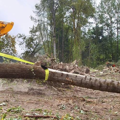 2"x10' Lift Sling Straps, 13,000 lb Load Capacity Heavy Duty Web Sling Tree Saver & Recovery Strap, Double-Layer Polyester Hoist Straps for Towing, Hoisting, Moving, UV Resistant Polyester 2-Pack - color: 10'x2" 13,000 Pound Yellow