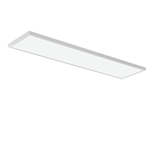 Lithonia Lighting 1x4 LED Flat Panel Light Adj Lumens, 3500K/4000K/5000K - size: 1 foot x 4 feet, style: Adjustable Lumens