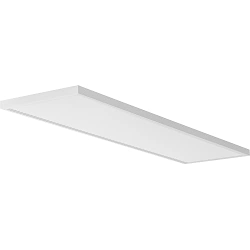 Lithonia Lighting 1x4 LED Flat Panel Light Adj Lumens, 3500K/4000K/5000K - size: 1 foot x 4 feet, style: Adjustable Lumens