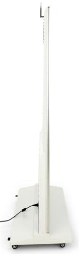 Displays2go Advertising Multimedia Kiosk - color: White, size: 55"