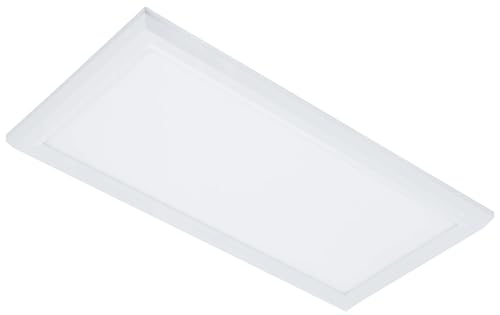 25W LED Surface Mount Panel, 1x2, 4000K by Westgate