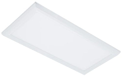 25W LED Surface Mount Panel, 1x2, 4000K by Westgate