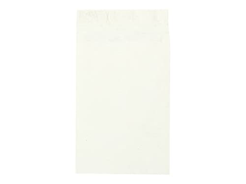 Survivor R4520 Tyvek Open-End Envelope,Plain,12-Inch x16-Inch x2-Inch,100/CT,White