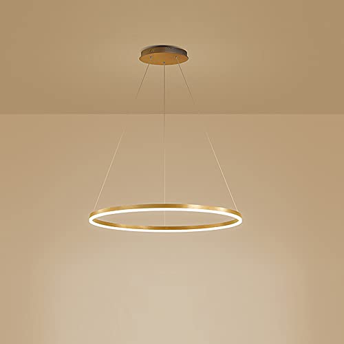 LightInTheBox Modern LED Gold Ring Chandelier, 23.6" Halo Pendant Light Fixture Circle Minimalist Dimmable Hanging Light Metal Acrylic for Living Room Dinning Room Bedroom (Gold) - color: Gold-Dimmbale, size: 60cm