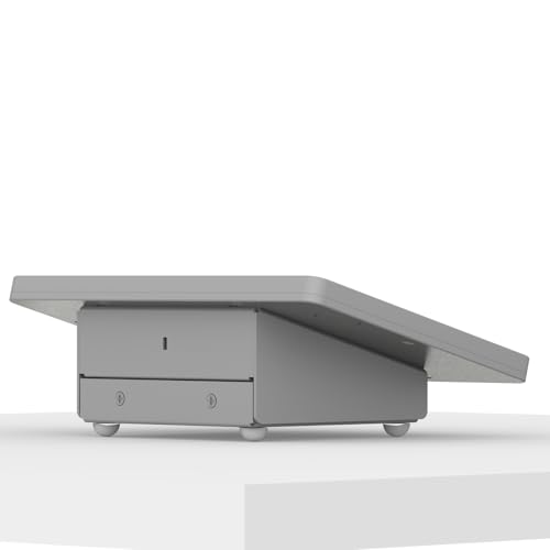 VidaMount Light Grey Enclosure and Fixed Tilted 15° Desk/Surface Mount [Bundle] Compatible with iPad mini 1/2/3 - color: Light Grey, size: iPad Mini 1/2/3