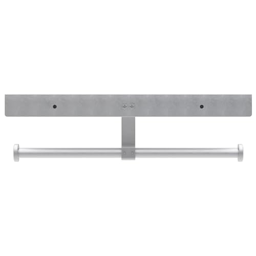 Danpoo Bathroom Toilet Paper Holder with Shelf, Wall Mount, Double Roll, Silver - color: Silver