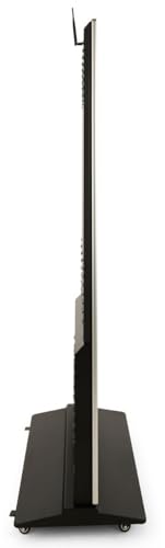 Displays2go Advertising Multimedia Kiosk with Multi - color: Black, size: 55"