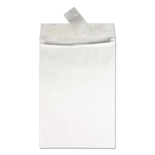 Survivor R4520 Tyvek Open-End Envelope,Plain,12-Inch x16-Inch x2-Inch,100/CT,White