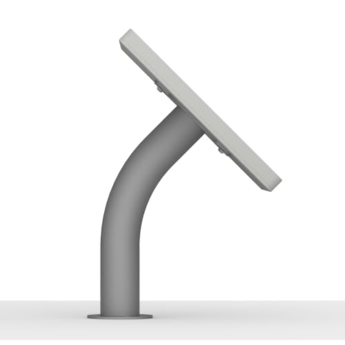 VidaMount Light Grey Enclosure and Fixed Neck Wall/Table Surface Mount [Bundle] Compatible with iPad 2/3/4 - color: Light Grey, size: iPad 2/3/4