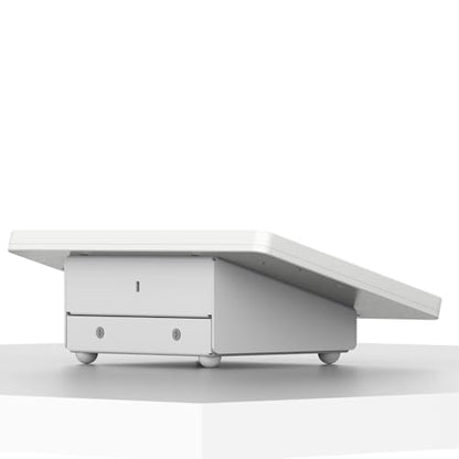 VidaMount White Enclosure and Fixed Tilted 15° Desk/Surface Mount [Bundle] Compatible with iPad mini 1/2/3 - color: White, size: iPad Mini 1/2/3