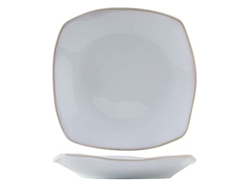 Tuxton China GAA-503 Pasta Plate, 21 oz., 10-1/2", square, coupe, microwave & dishwasher safe, oven proof, fully vitrified, lead-free, ceramic, TuxTrendz, Artisan, Agave, Pack of 12 - color: Agave Coupe, size: 21-Ounce