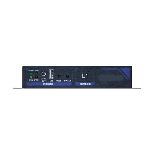 L1 L2 Dual-Mode LED Display Multimedia Player Controller synchronous asynchronous Advertising Player(L2) - color: L2