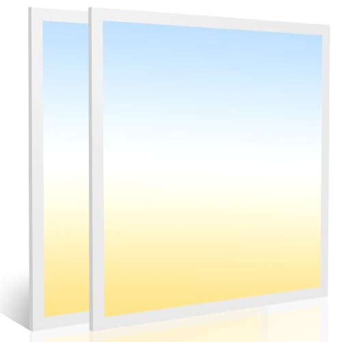 2 Pack 2x2 LED Flat Panel Light, 5CCT Selectable,0-10V Dimmable, 5200LM/40W - color: 2 Pack, size: 2-foot X 2-foot