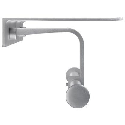 Danpoo Bathroom Toilet Paper Holder with Shelf, Wall Mount, Double Roll, Silver - color: Silver