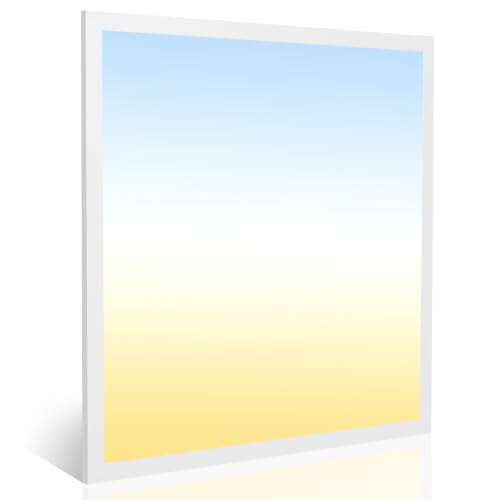 2x2 LED Flat Panel Light 1 Pack, 5200LM, 40W, Drop Ceiling Fixture - color: 2x2, size: 1 Pack