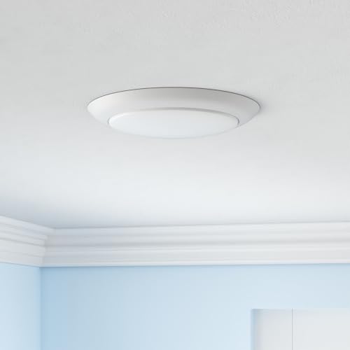 PARMIDA (12 Pack) 5/6 Inch Dimmable LED Disk Light Surface Flush Mount 15W, UL Listed, Recessed Retrofit Ceiling Disc Lights, Energy Star, Installs into Junction Box Or Recessed Can,1050lm - 4000K - color: 4000K (Cool White), size: 12 Pack