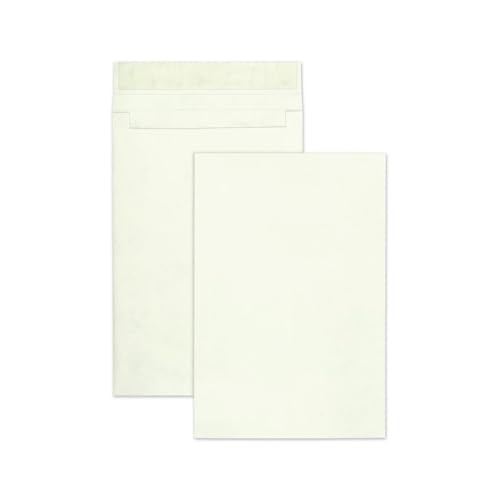 Survivor R4520 Tyvek Open-End Envelope,Plain,12-Inch x16-Inch x2-Inch,100/CT,White